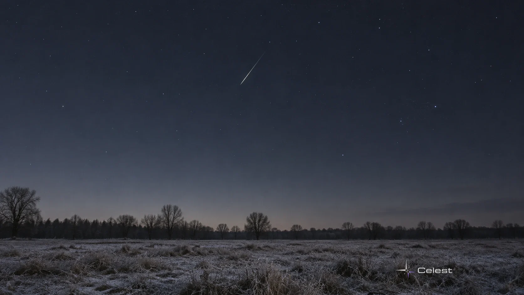Ilustrație a unei nopți de iarnă, cu un singur meteor discret deasupra unor copaci fără frunze și a unui cer cu stele rare.