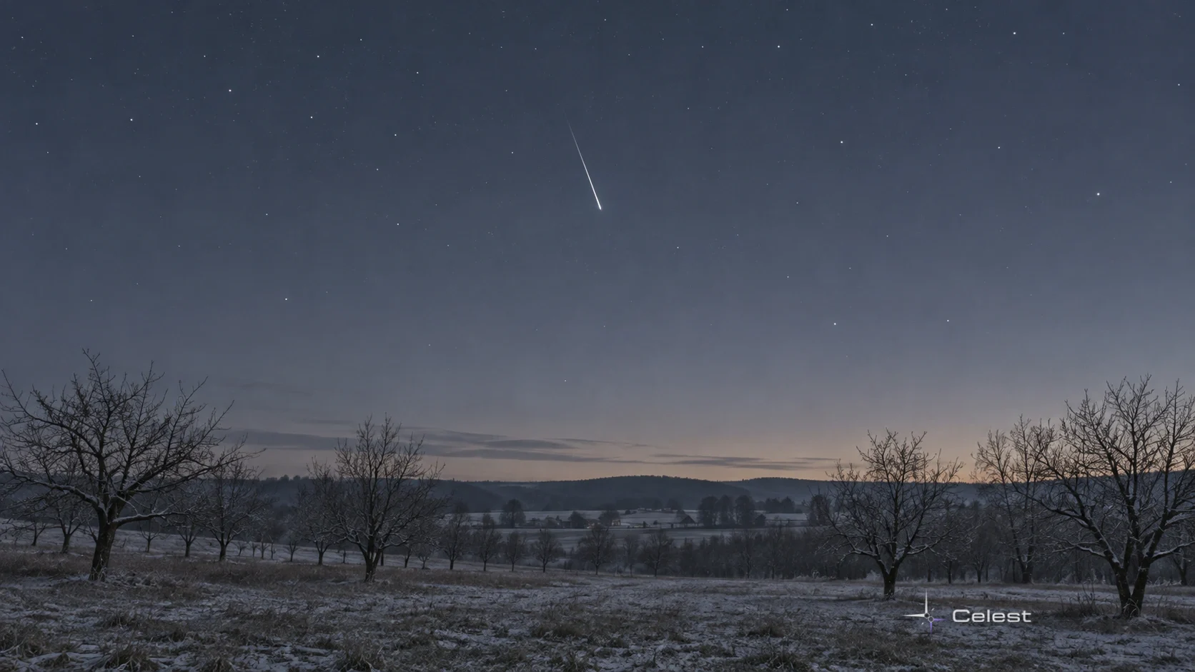 Un meteor alb discret deasupra unei livezi fără frunze, într-o noapte de iarnă.